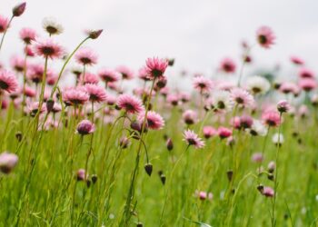 Ich wünsche Ihnen ein erholsames Wochenende. | Tasse Jo